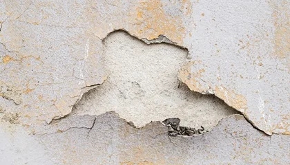 Building Defect Image Data Collection