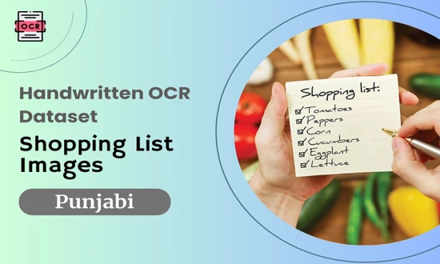 Punjabi OCR dataset with shopping list images