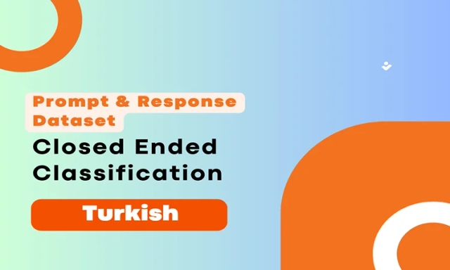 Closed Ended Classification Prompt & Completion Dataset in Turkish