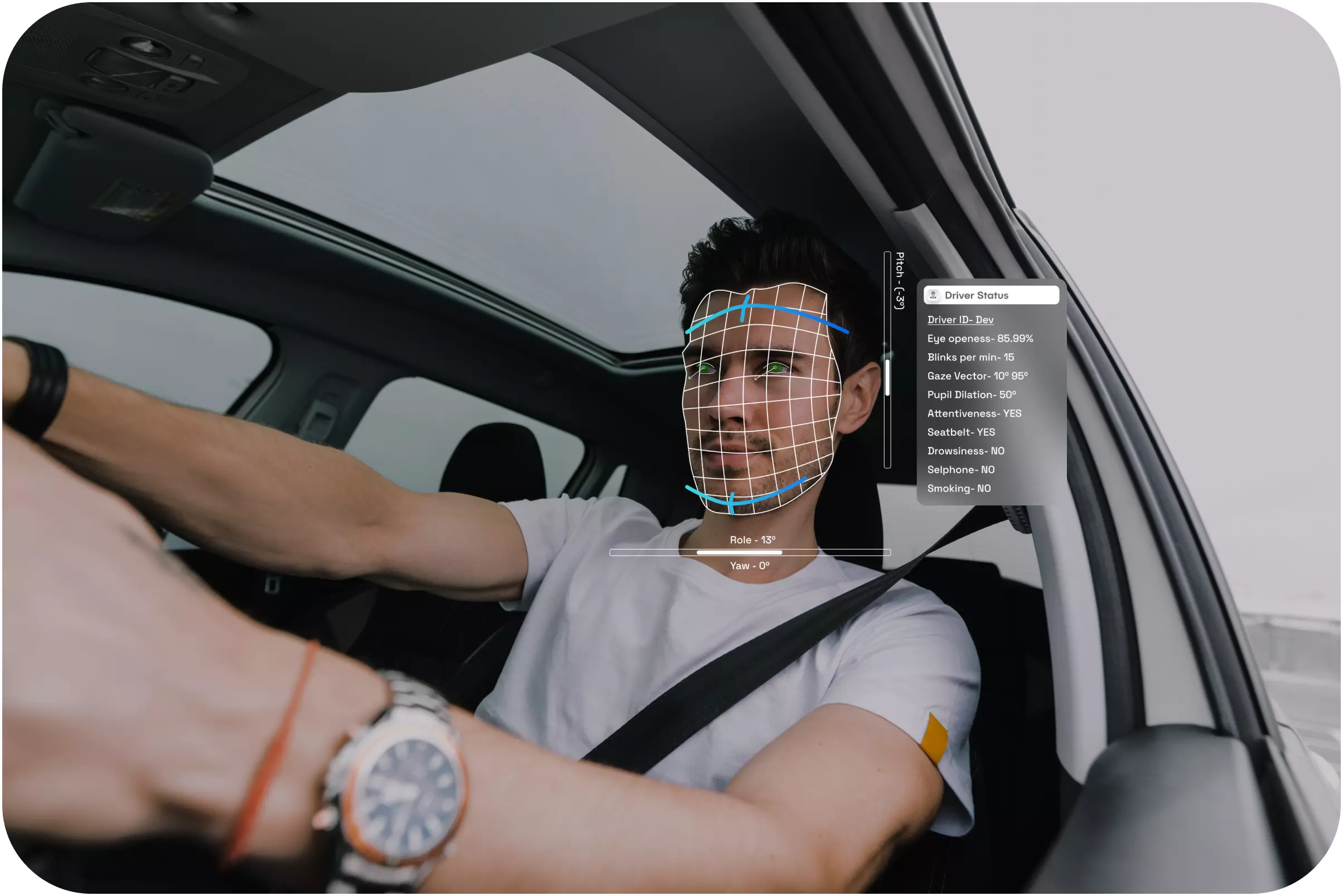 Driver Monitoring System for Automotive AI